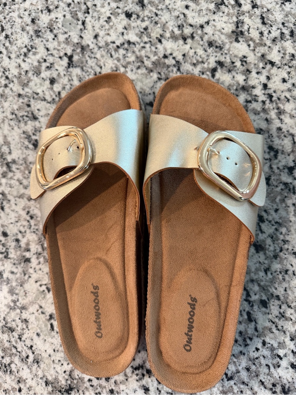 Metallic Gold Slide Sandals with Buckle